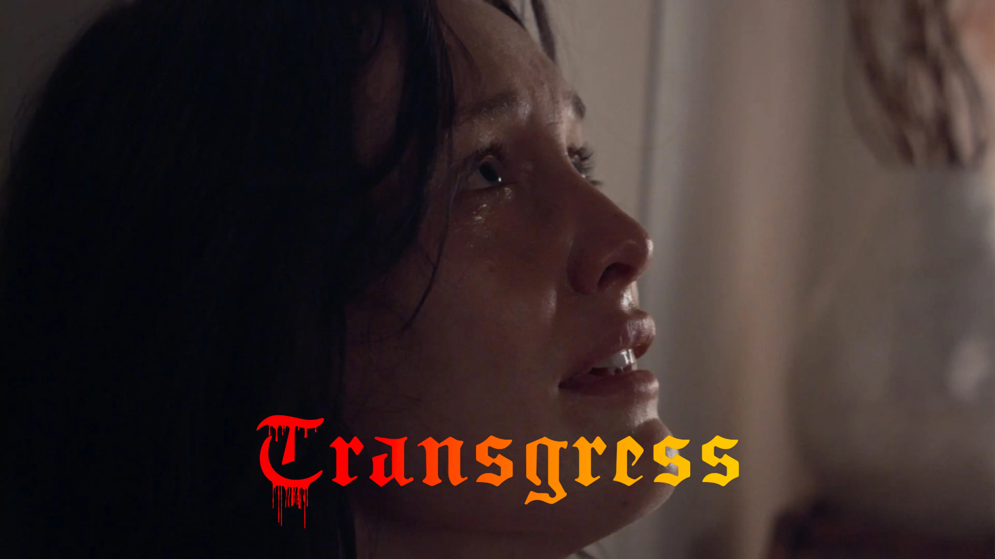 Transgress poster